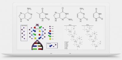 GENETİK: DNA ve RNA (9. Bölüm: 4 Konu)
